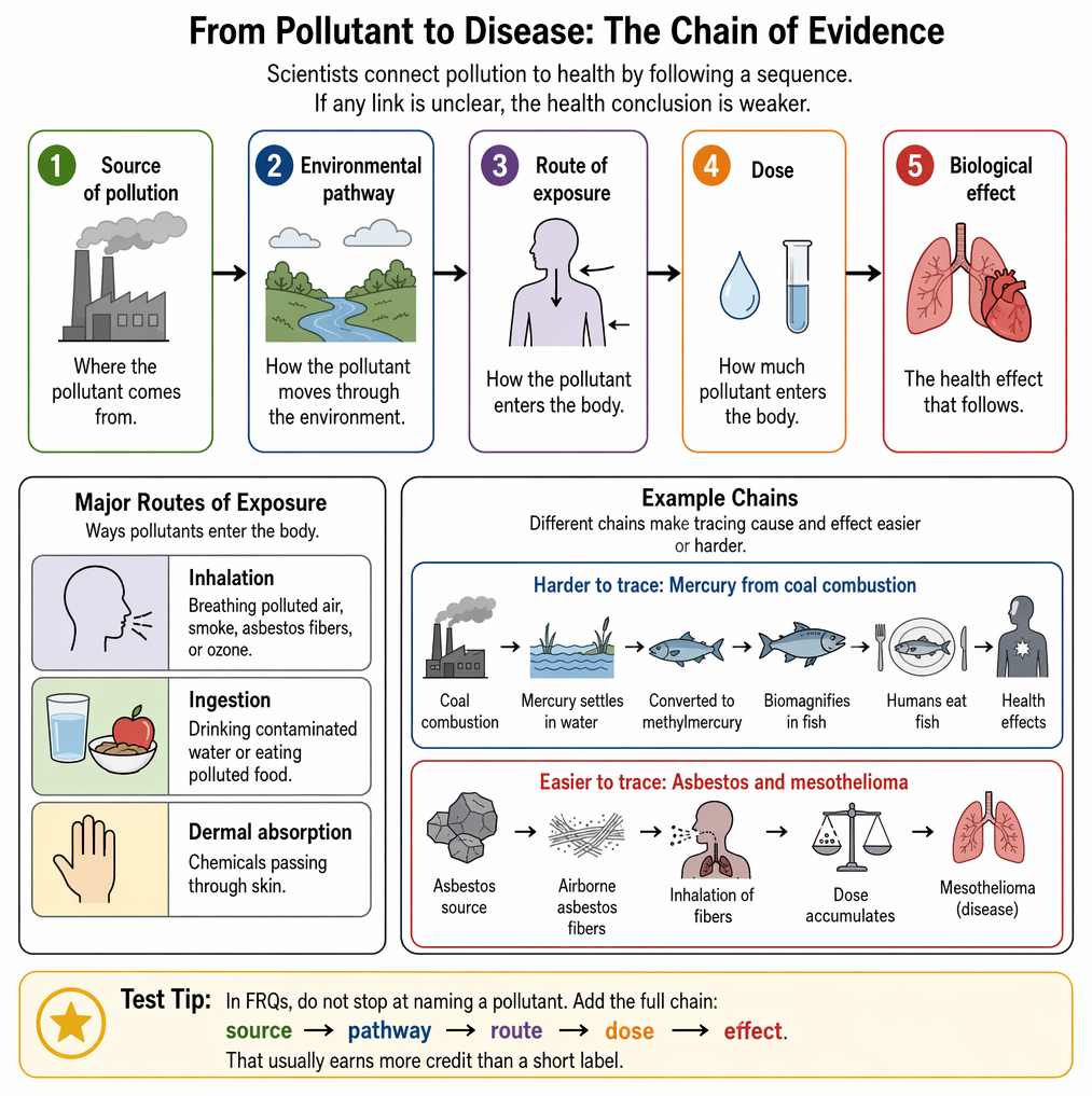 Pollution-health causal chain showing sources, environmental pathways, inhalation, ingestion, and dermal absorption, plus confounding factors affecting dose and disease attribution.