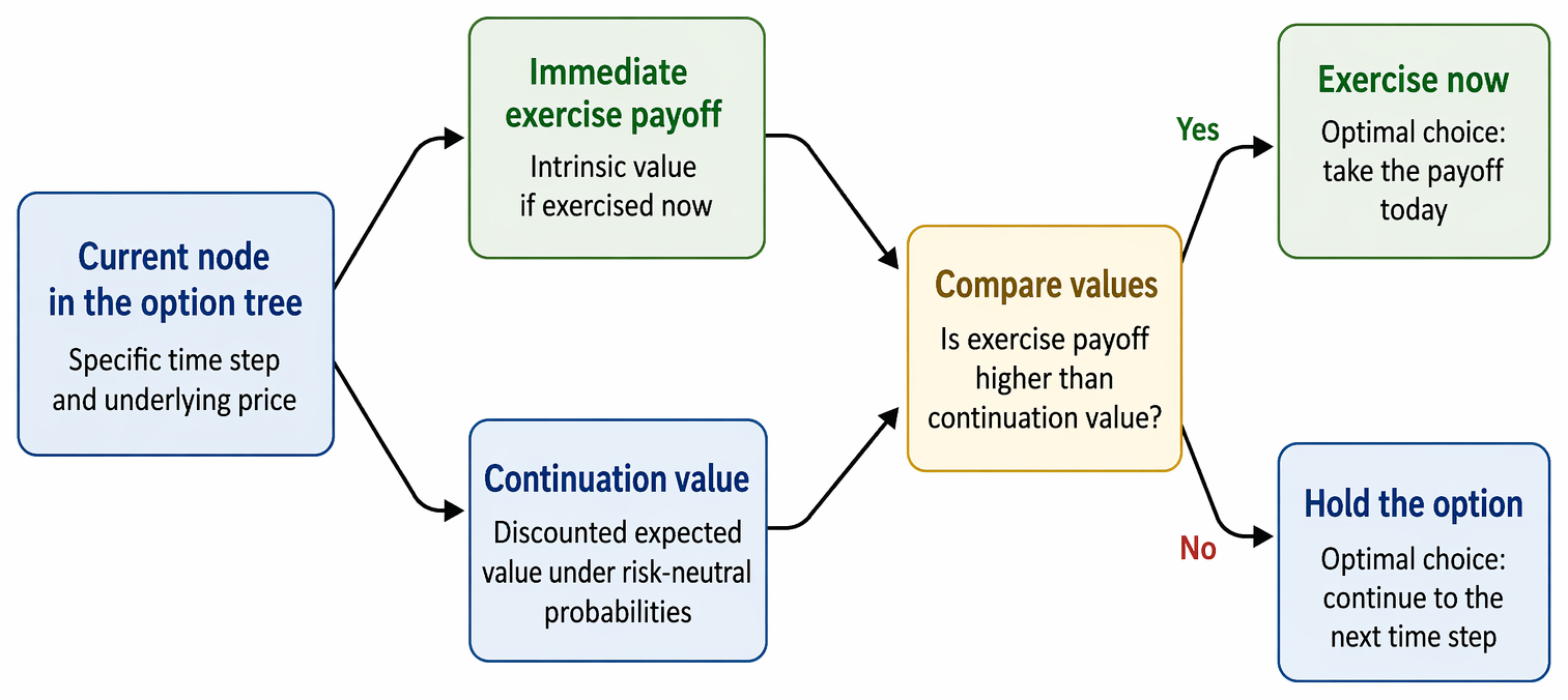 American option node valuation comparing intrinsic value with discounted expected continuation value to determine immediate exercise or continued holding.