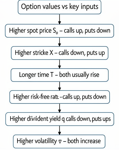 Black-Scholes-Merton input sensitivities for European call and put values: spot, strike, time to expiration, risk-free rate, dividend yield, and volatility.