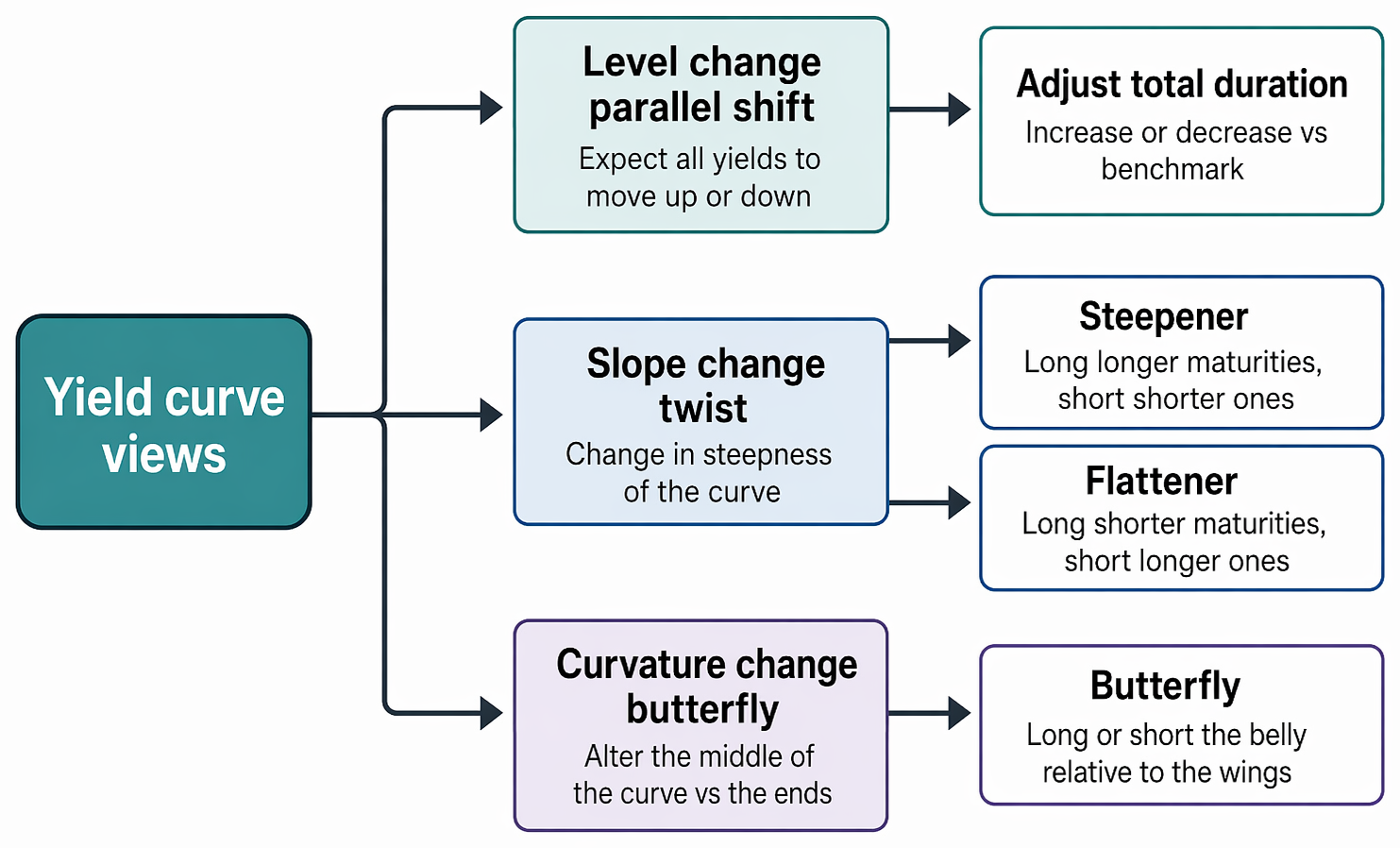 Yield curve views linking parallel level shifts, slope twists, and curvature butterfly changes to duration, steepener, flattener, and belly-versus-wings positioning.