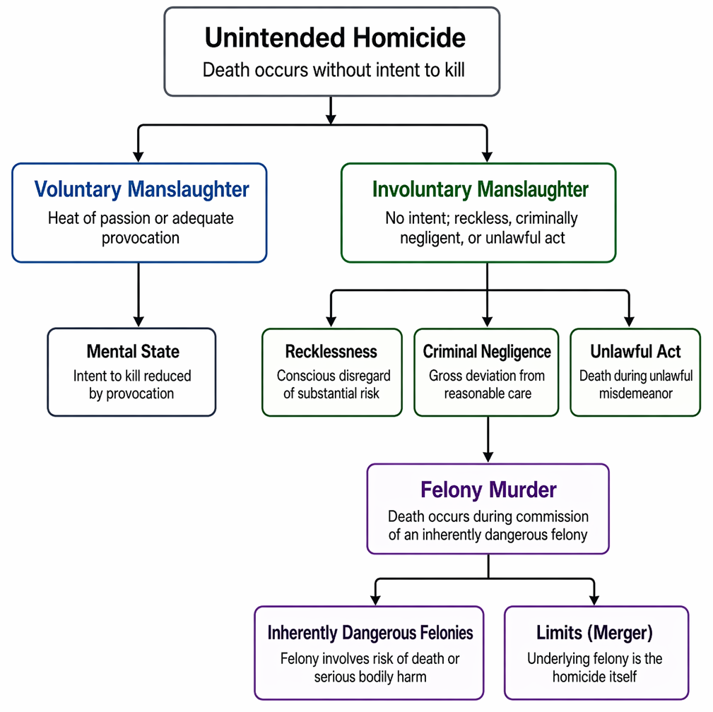 Unintended homicide divided into involuntary manslaughter and felony murder, with manslaughter and felony-murder elements summarized.