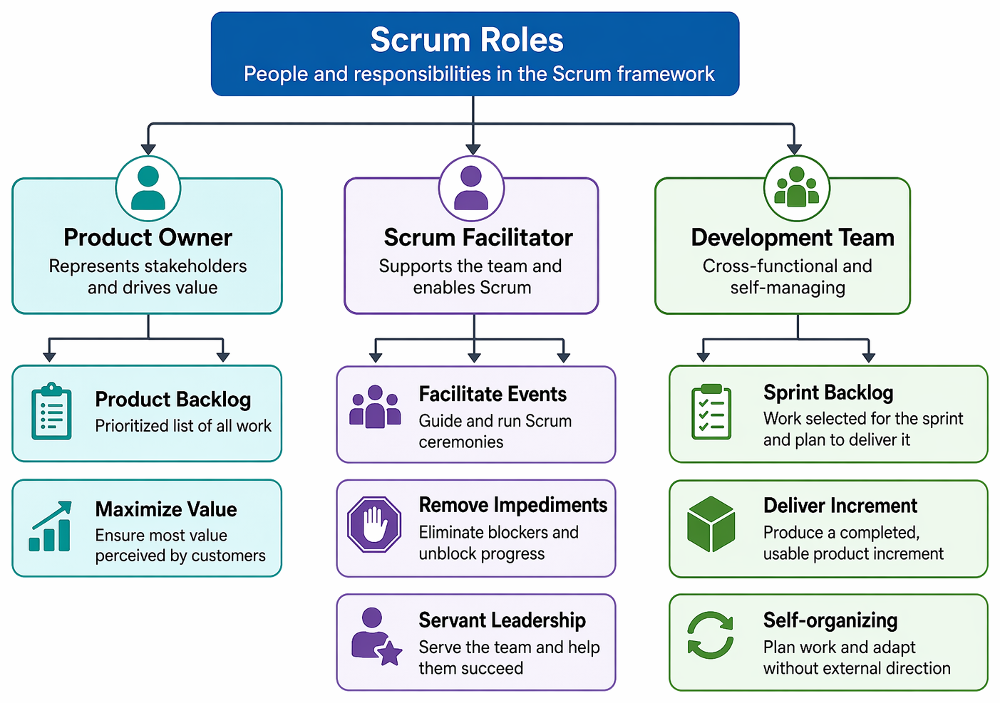 Scrum roles, including Product Owner, Scrum Facilitator, and Development Team, with associated responsibilities for backlog ownership, facilitation, impediment removal, and increment delivery.