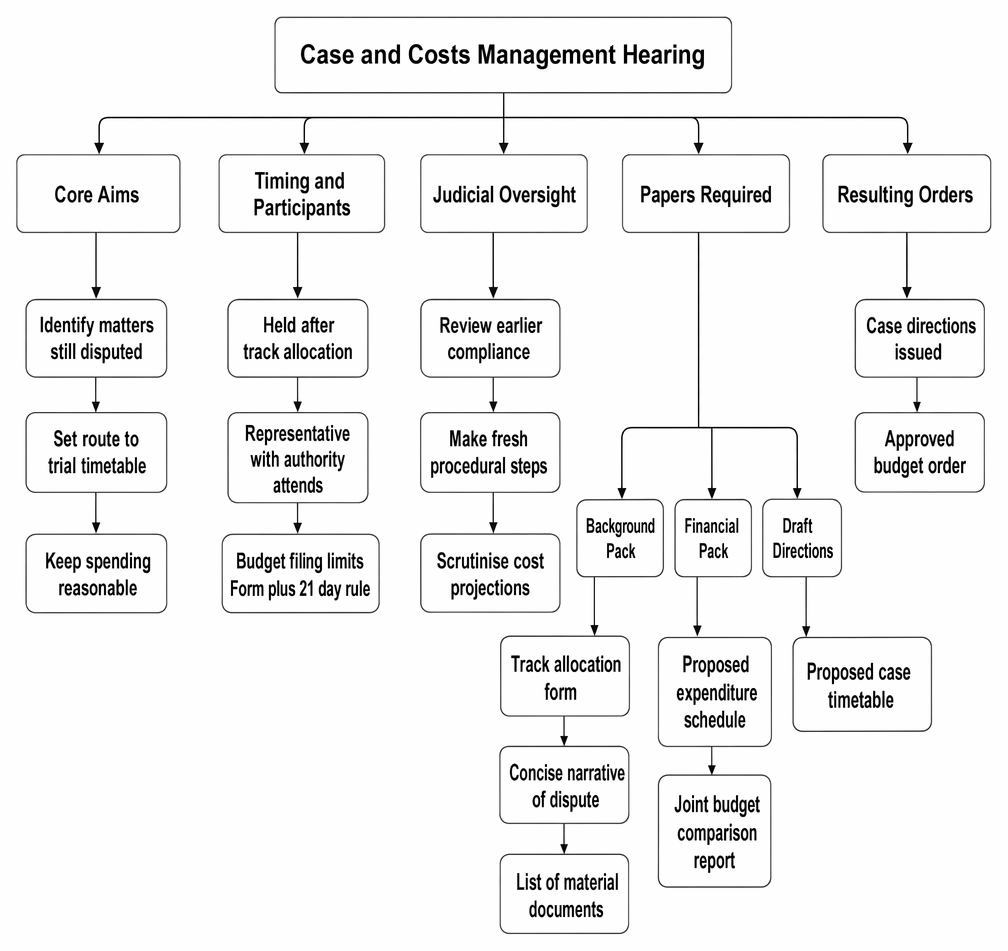 Elements of a case and costs management hearing: objectives, timing, attendance, judicial scrutiny, required papers, and resulting directions and budgeting orders.