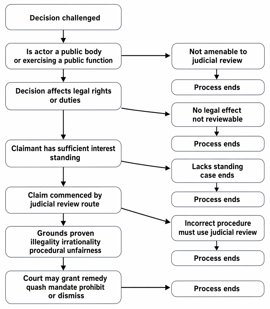 Amenability of decisions to judicial review, including public function, legal effect, standing, procedural exclusivity, recognised grounds, and available remedies.