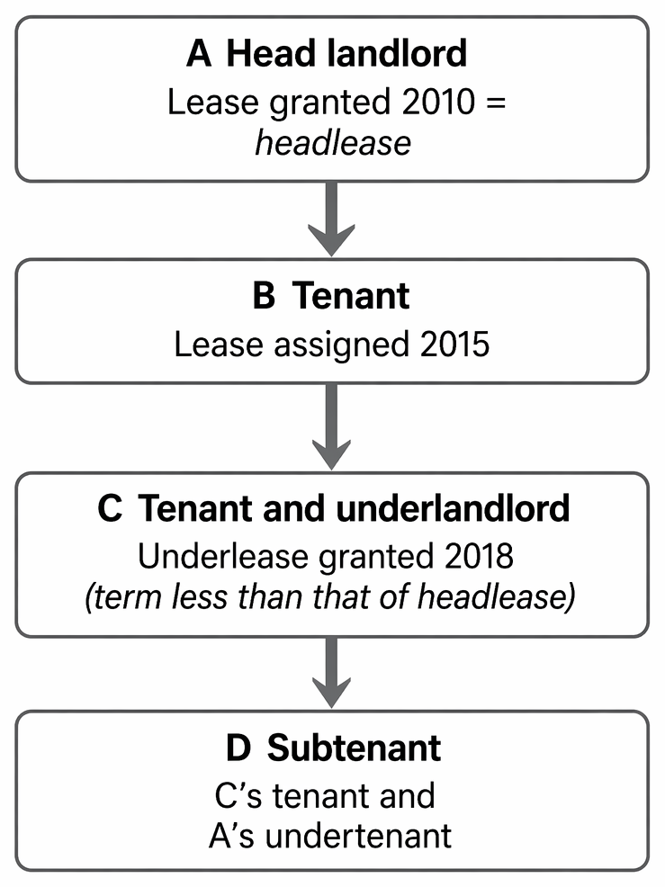 Parties to a headlease and underlease: superior lessor, intermediate lessee, and sub lessee in the reversionary chain.