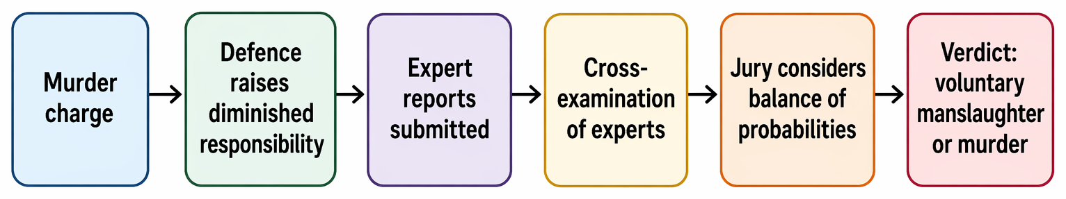 Diminished responsibility in a murder trial, from defence raised and expert evidence to jury assessment on the balance of probabilities and verdict.