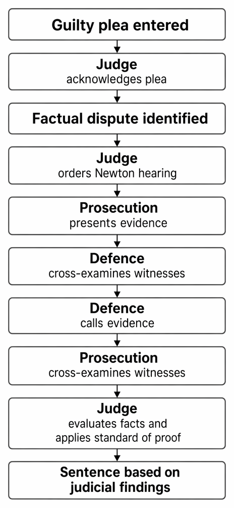 Newton hearing procedure following a guilty plea where a material factual dispute affects sentence.