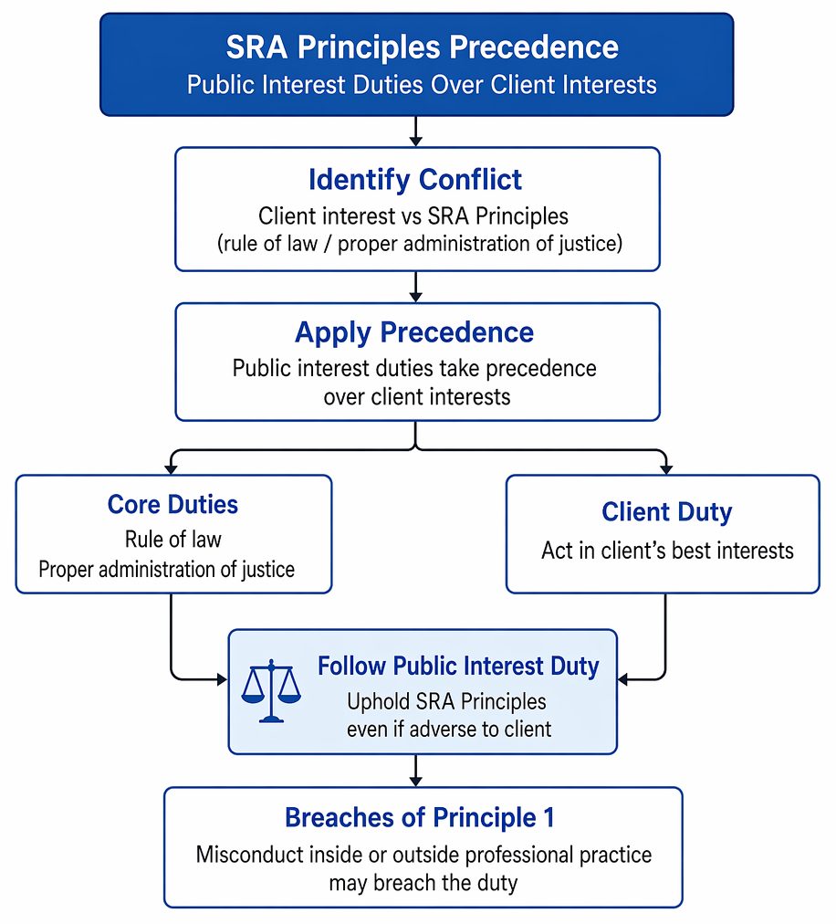 Principle 1 connects the rule of law with public interest priority, court obligations, and client duties limited by justice requirements.